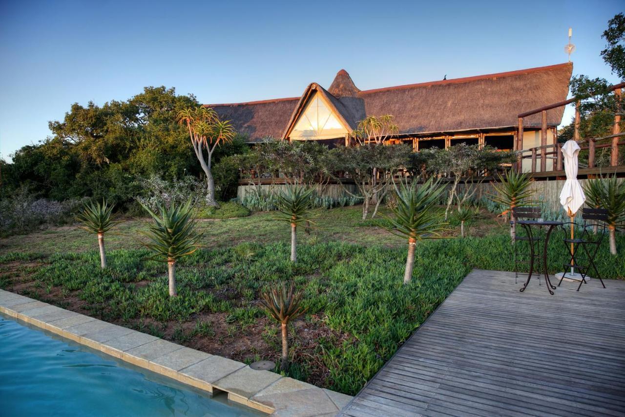 Bush Lodge - Amakhala Game Reserve Exterior foto