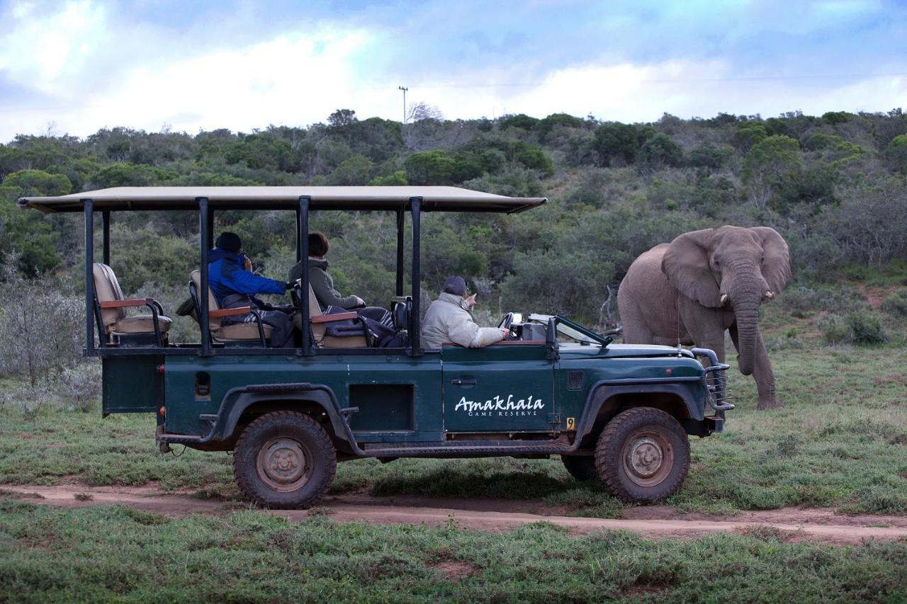 Bush Lodge - Amakhala Game Reserve Exterior foto