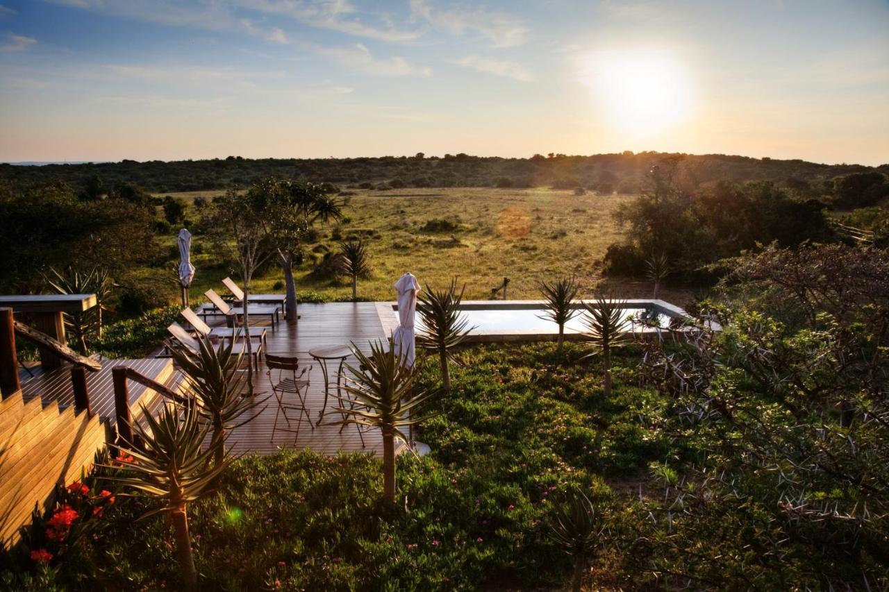 Bush Lodge - Amakhala Game Reserve Exterior foto