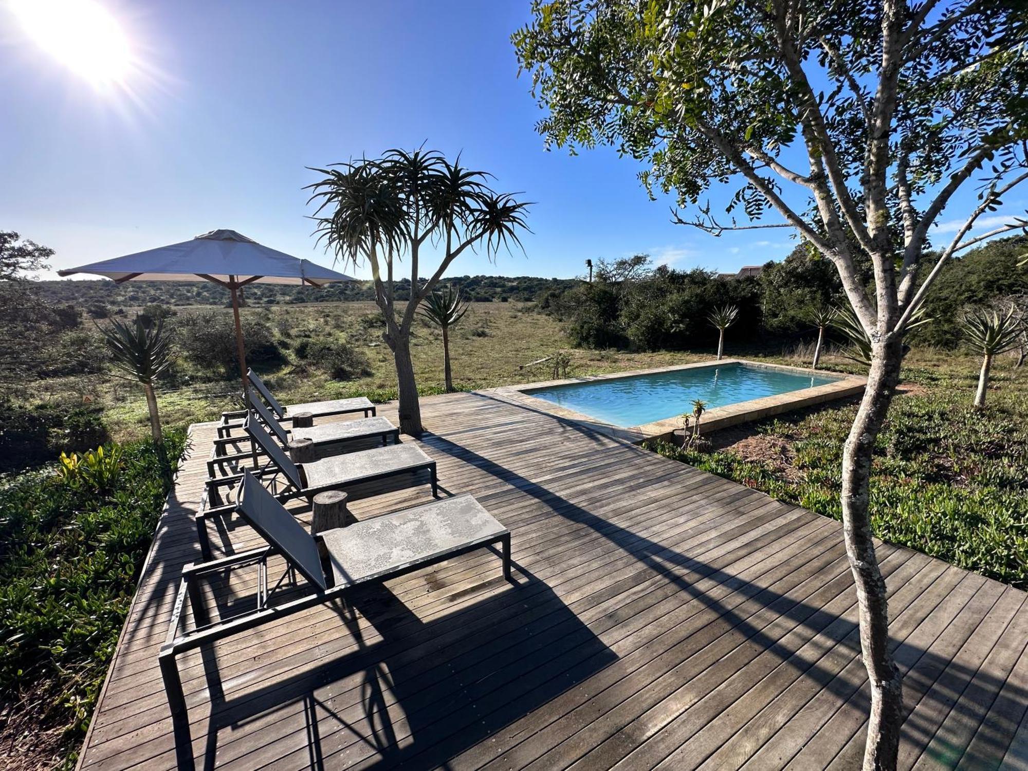 Bush Lodge - Amakhala Game Reserve Exterior foto