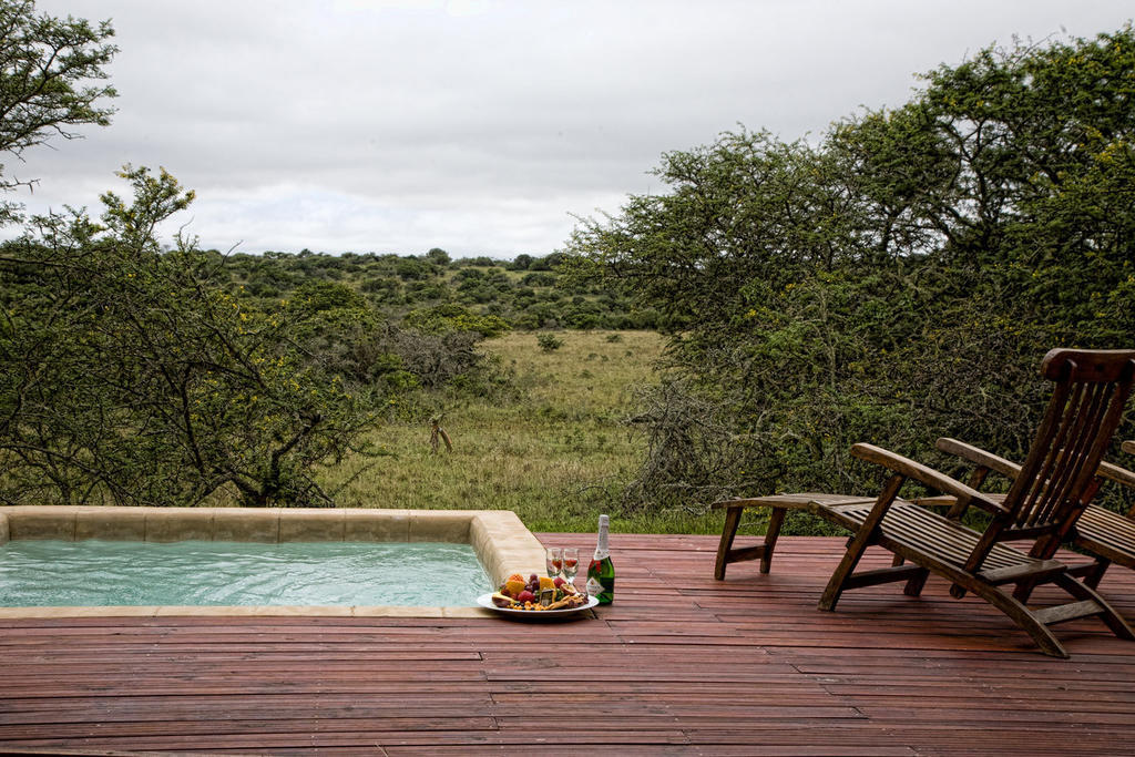 Bush Lodge - Amakhala Game Reserve Quarto foto