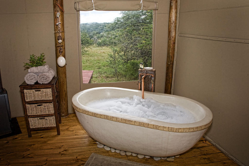 Bush Lodge - Amakhala Game Reserve Quarto foto